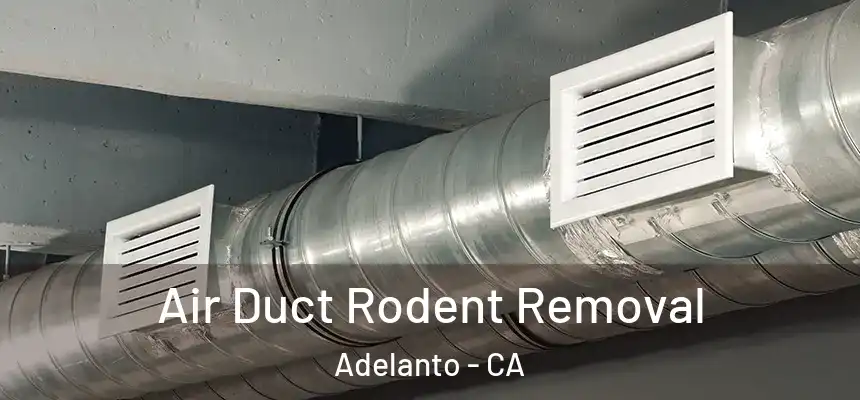 Air Duct Rodent Removal Adelanto - CA