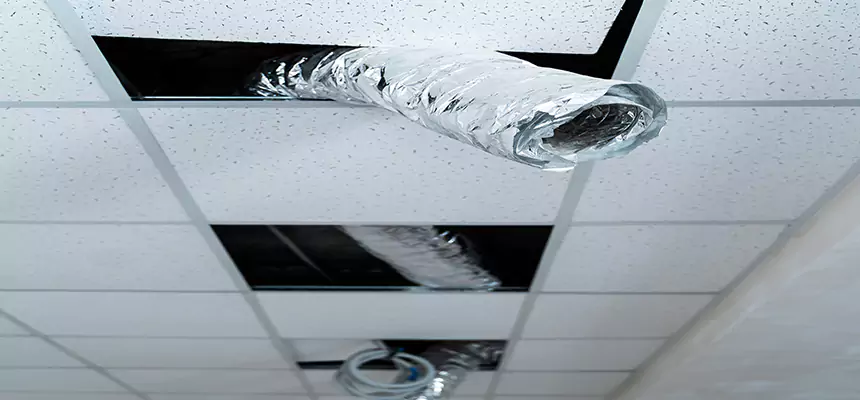 Our Air Duct Pet Hair Removal Services in Adelanto, CA