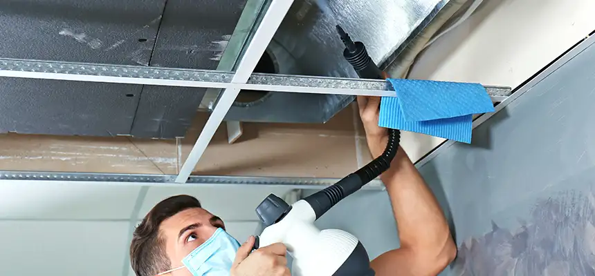 Our Air Duct Rodent Removal Services in Adelanto, CA