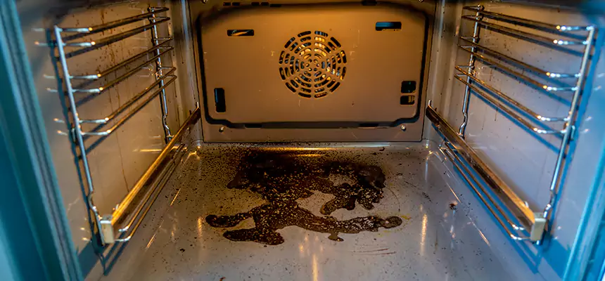 Our Dryer Vent Mold Cleaning Services in Adelanto, CA