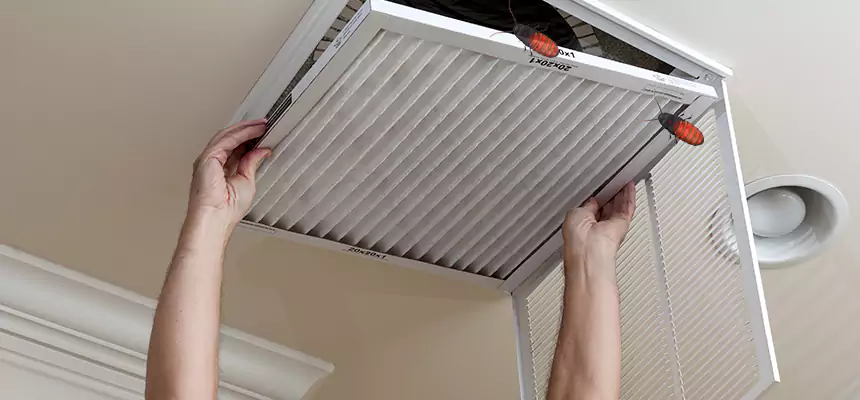 Our Insect Removal from Air Ducts Services in Adelanto, CA
