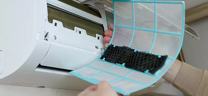 Gentle Ductwork Odor-Control Pet Dander Duct Cleaning in Adelanto, CA