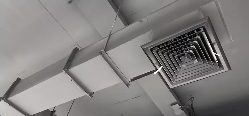 Our Rodent Droppings In Vents Services in Adelanto, CA