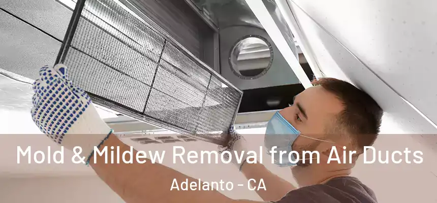 Mold & Mildew Removal from Air Ducts Adelanto - CA