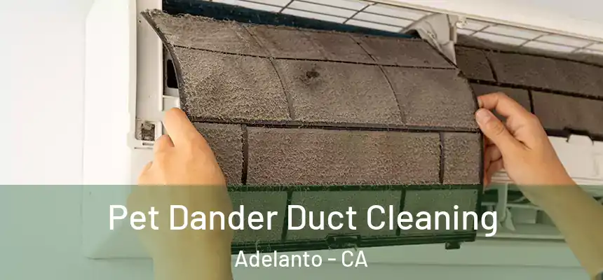  Pet Dander Duct Cleaning Adelanto - CA
