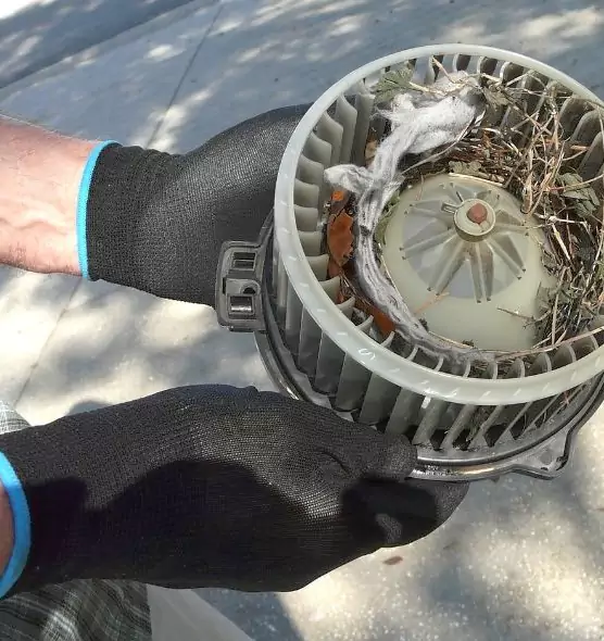 About Air Duct Mice Removal in Adelanto, CA