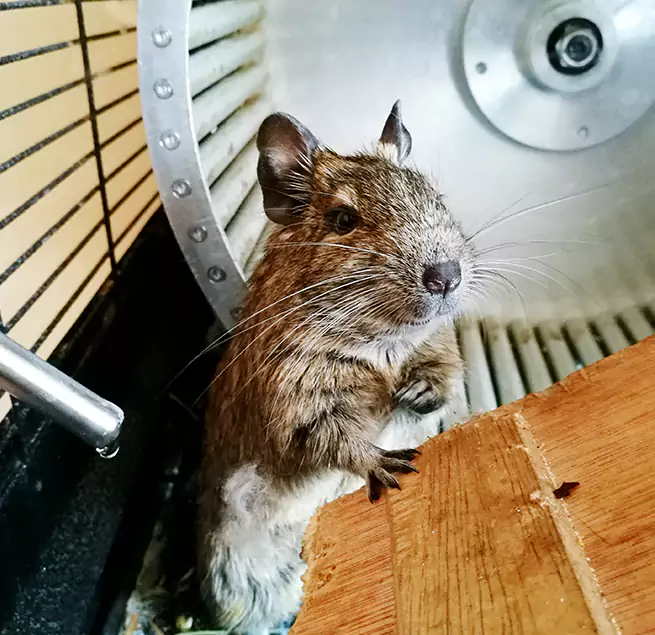 Why Homeowners & Businesses Trust Us Adelanto, CA?