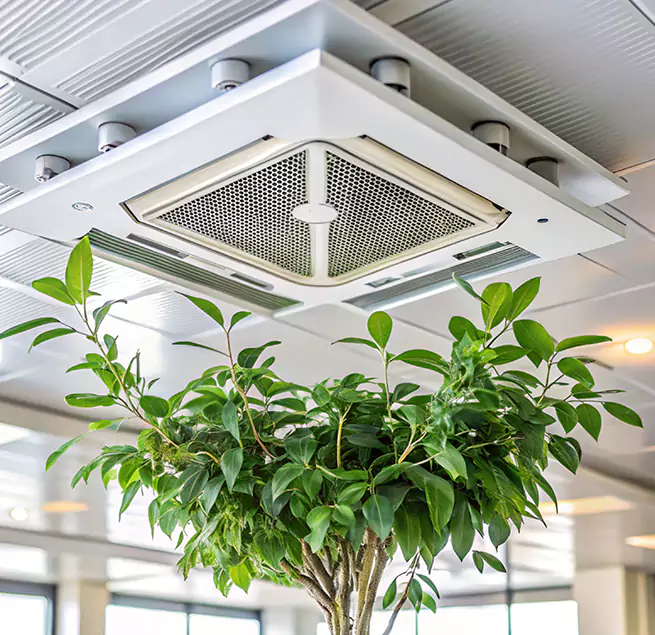 Why Homeowners & Businesses Trust Us in Adelanto, CA