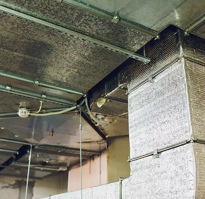 Why Homeowners & Businesses Trust Us in Adelanto, CA?